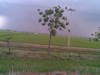 Pemandangan